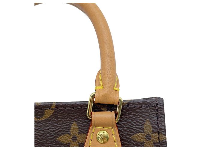 Bolso Louis Vuitton Monogram Petite Sac Plat - vista 11