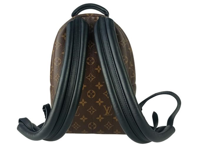 Zaino Louis Vuitton Palm Springs PM Marrone - vista 3