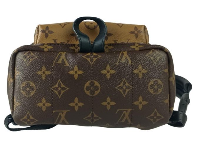 Zaino Louis Vuitton Palm Springs PM Marrone - vista 4