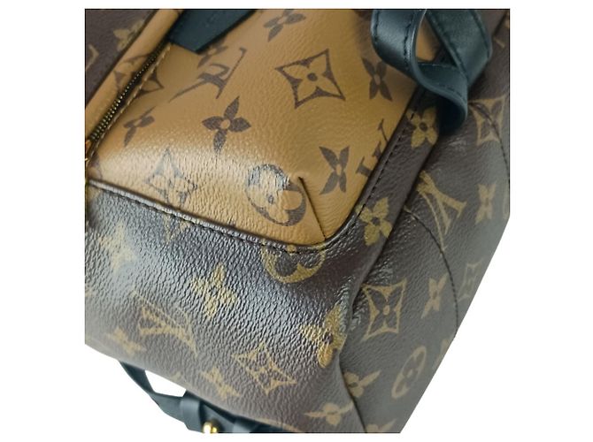 Zaino Louis Vuitton Palm Springs PM Marrone - vista 5