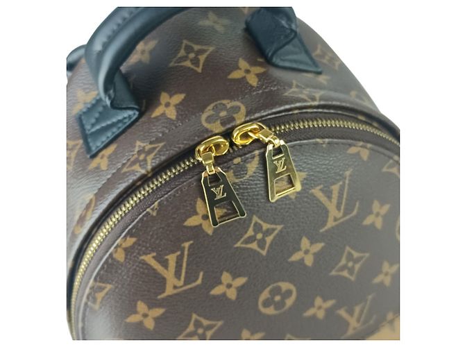 Zaino Louis Vuitton Palm Springs PM Marrone - vista 6