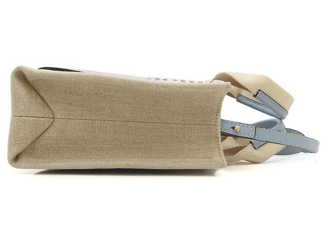 Borsa a mano Chloé Woody Small Tote Bianco Blu chiaro - vista 3