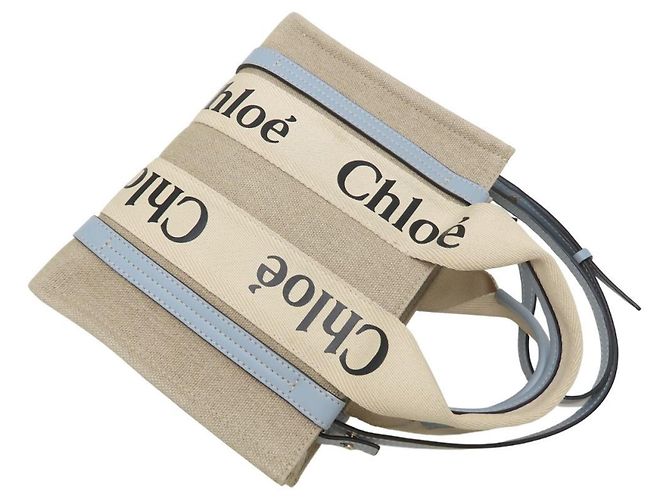 Borsa a mano Chloé Woody Small Tote Bianco Blu chiaro - vista 5