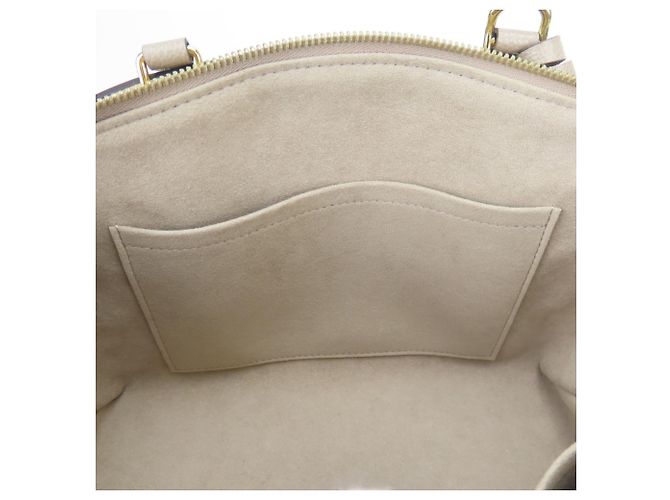Borsa Louis Vuitton Petit Palais PM Multicolore Beige Grigio Crudo - vista 24