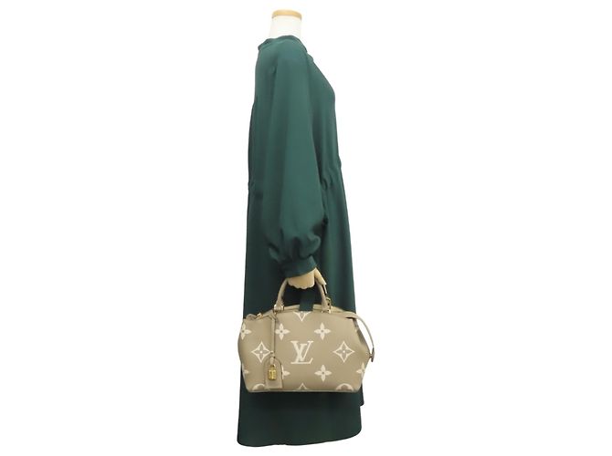 Borsa Louis Vuitton Petit Palais PM Multicolore Beige Grigio Crudo - vista 32