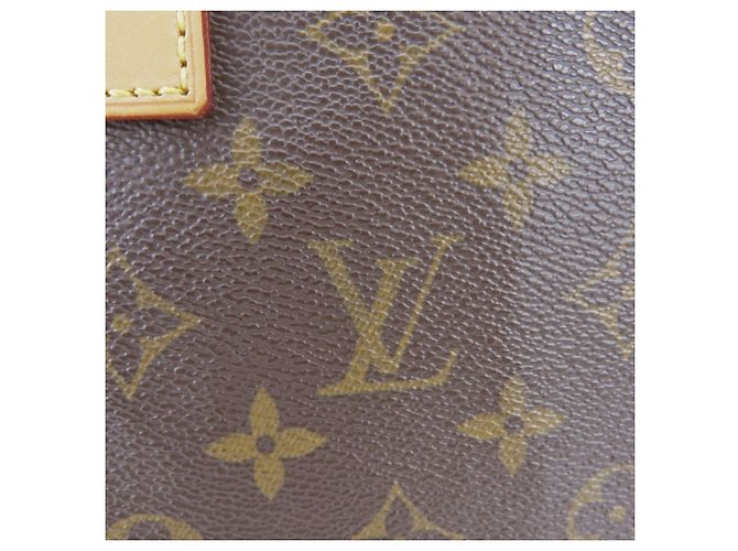 Saco Tote Louis Vuitton Vavin GM Monogram Marrom Monograma - vista 7