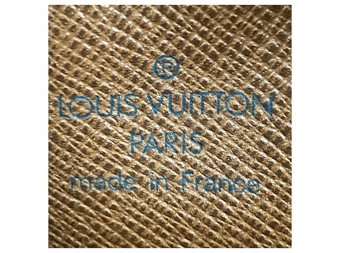 Borsa a tracolla Louis Vuitton Danube Marrone - vista 4