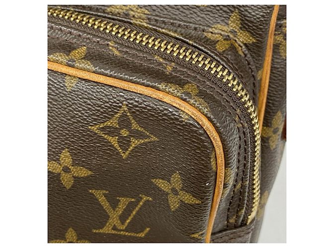 Borsa a tracolla Louis Vuitton Monogram Amazon Marrone - vista 6