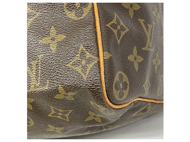 Borsa a mano Louis Vuitton Monogram Speedy 40 Marrone - vista 6