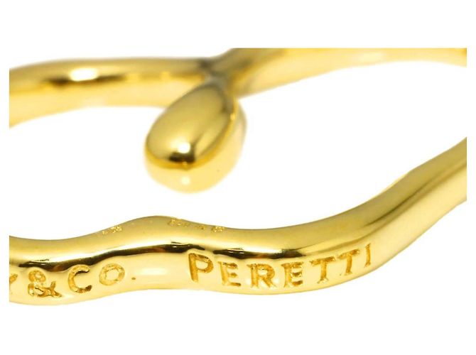 Autre Marque Tiffany & Co. Apple Large lange Halskette - Ansicht 5
