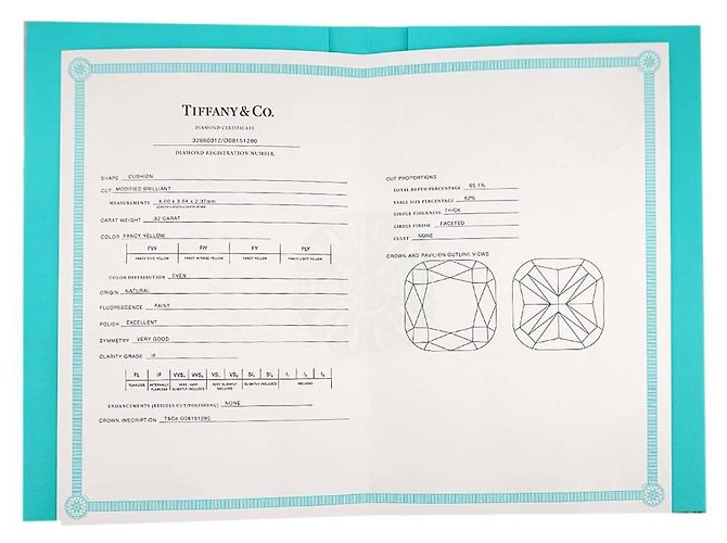 Autre Marque Collar Tiffany & Co. Lucida Diamond - vista 9