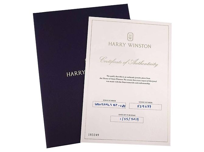 Anillo Harry Winston 1 Milgrain en platino - vista 7