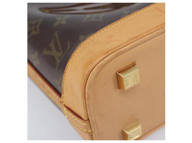 Borsa LOUIS VUITTON Monogram Vinyl Cabas Amble PM Brown M92502 LV Auth ep15927 Marrone - vista 15
