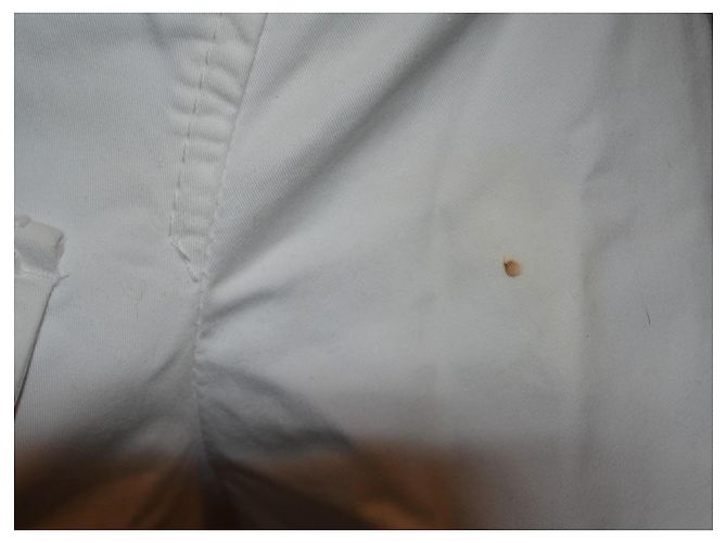 Dsquared2 White Cotton Military Jacket with Gold Buttons - view 4