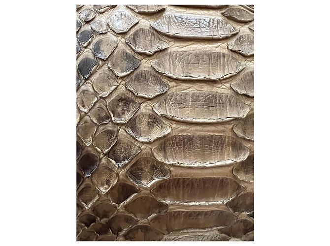Bolso Gucci de piel de pitón marrón Castaño - vista 8