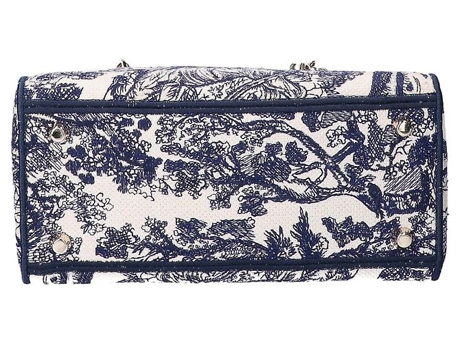 Borsa Christian Dior LADY D-LITE Medium Toile de Jouy Embroidery Blu - vista 5