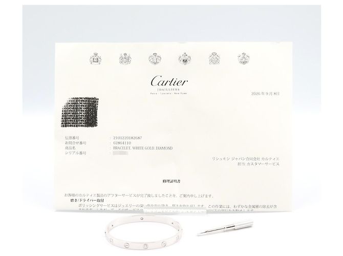 Bracciale Cartier Love in oro bianco 18K D'oro - vista 6