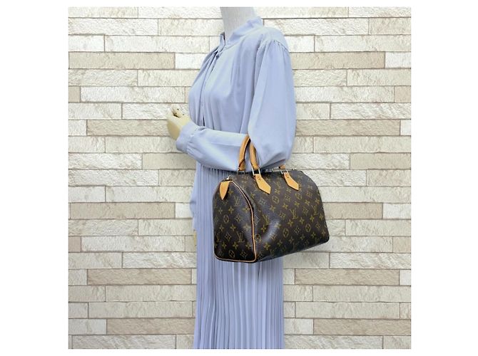 Bolso de mano Louis Vuitton Speedy 25 Monogram Castaño - vista 2