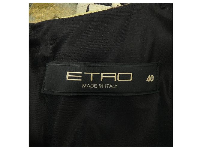 Vestido Etro Castaño Caqui - vista 4