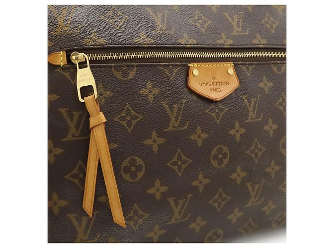 Bolso de hombro Louis Vuitton Iena Monogram Castaño - vista 9