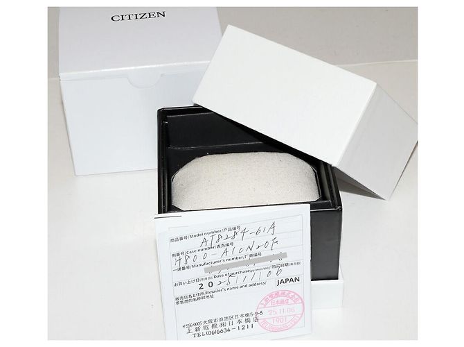 Autre Marque CITIZEN ATTESA Actline Platinum Shine Collection Titanuhr Silber - Ansicht 3