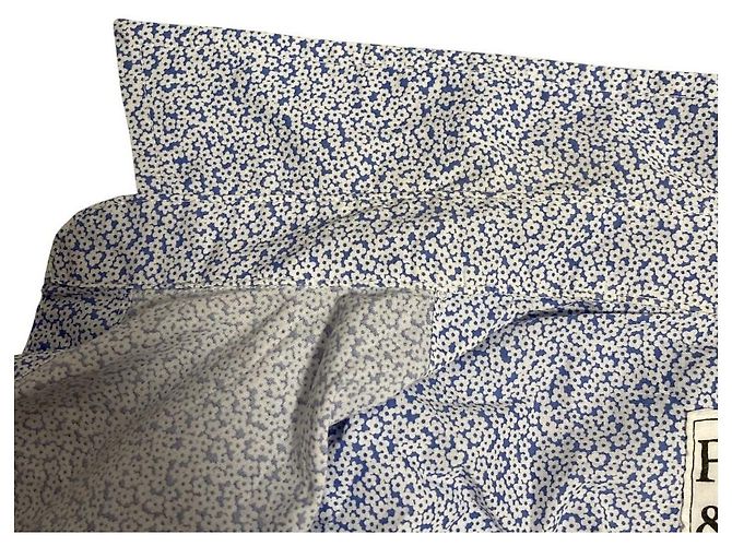 Autre Marque Camisa de algodón Frank&Eileen BARRY Blanco Azul - vista 8