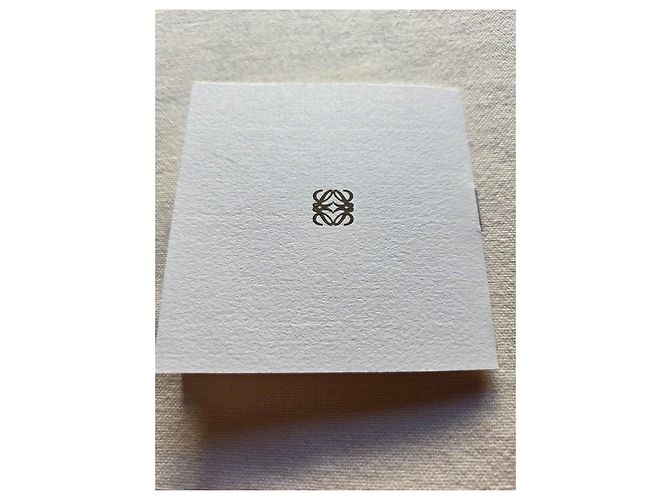Pochette Piatta Loewe Anagram in Camoscio Marrone chiaro - vista 10