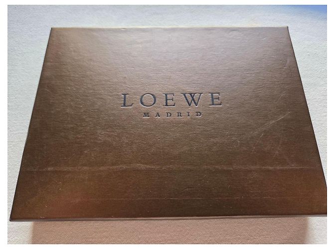 Pochette Piatta Loewe Anagram in Camoscio Marrone chiaro - vista 12