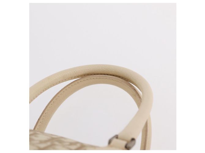 Borsa a mano Christian Dior Trotter Floral PVC Beige Silver Auth mr2988V Argento - vista 10