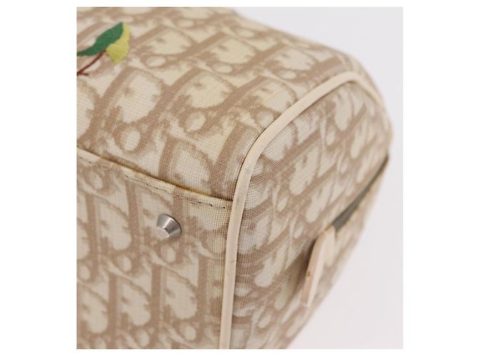 Borsa a mano Christian Dior Trotter Floral PVC Beige Silver Auth mr2988V Argento - vista 15