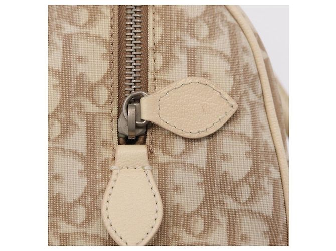 Borsa a mano Christian Dior Trotter Floral PVC Beige Silver Auth mr2988V Argento - vista 18