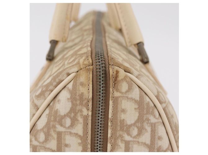 Borsa a mano Christian Dior Trotter Floral PVC Beige Silver Auth mr2988V Argento - vista 6