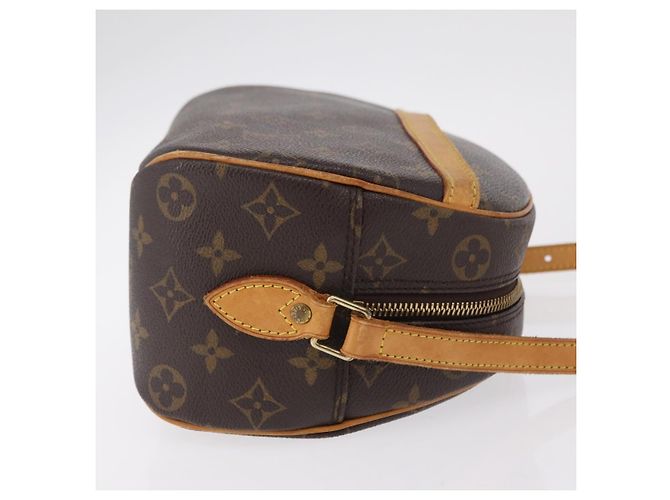Borsa a tracolla LOUIS VUITTON Monogram Blois M51221 LV Auth ep16075 Monogramma - vista 3
