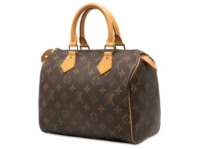 Brown Louis Vuitton Monogram Speedy 25 Boston Bag - view 2