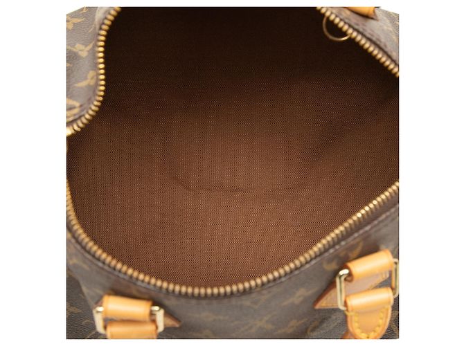Brown Louis Vuitton Monogram Speedy 25 Boston Bag - view 4