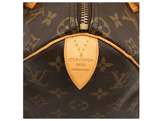 Brown Louis Vuitton Monogram Speedy 25 Boston Bag - view 5