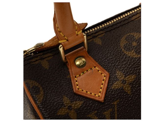 Borsa Louis Vuitton Monogram Mini Speedy HL Marrone - vista 6