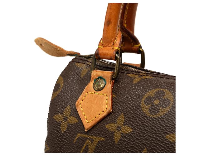 Borsa Louis Vuitton Monogram Mini Speedy HL Marrone - vista 6