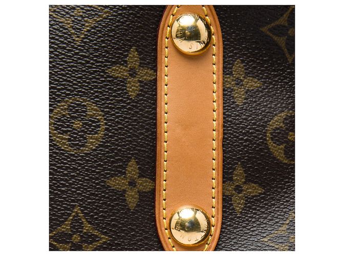 Bolso Satchel Louis Vuitton Monogram Retiro PM Marrón Castaño - vista 5