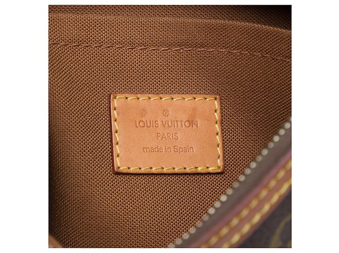 Bolso Bandolera Louis Vuitton Monogram Odeon PM Marrón Castaño - vista 5