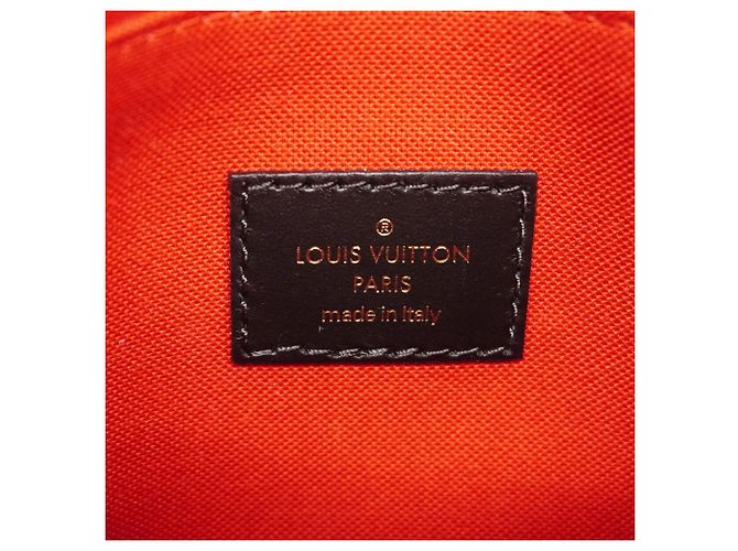 Borsa Louis Vuitton Monogram Giant Reverse OnTheGo PM Marrone - vista 5
