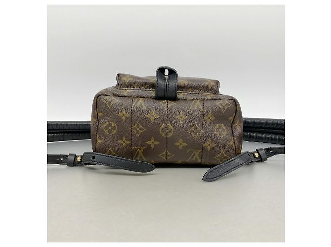 Zaino Louis Vuitton Monogram Palm Springs PM M41560 Marrone Nero - vista 3