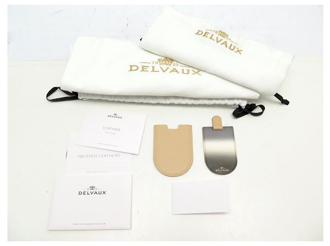 NUOVA BORSA A MANO DELVAUX BRILLANT MINI SUNLIGHT IN LUCERNAIOLO CON TRACOLLA - vista 13