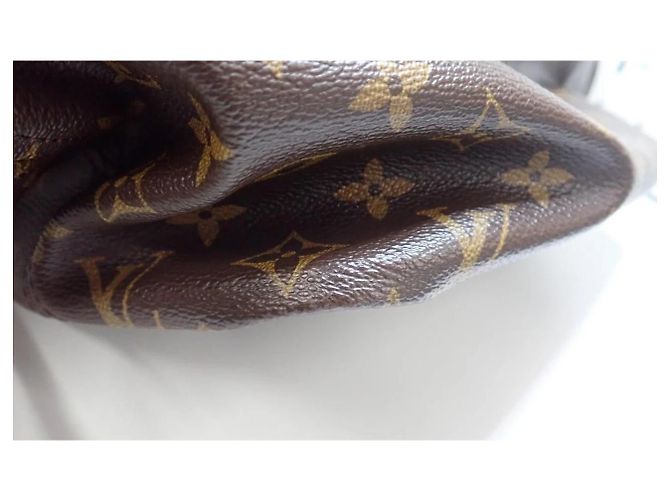 Louis Vuitton Neverfull Trianon Toile and Leather 30 Castaño - vista 7