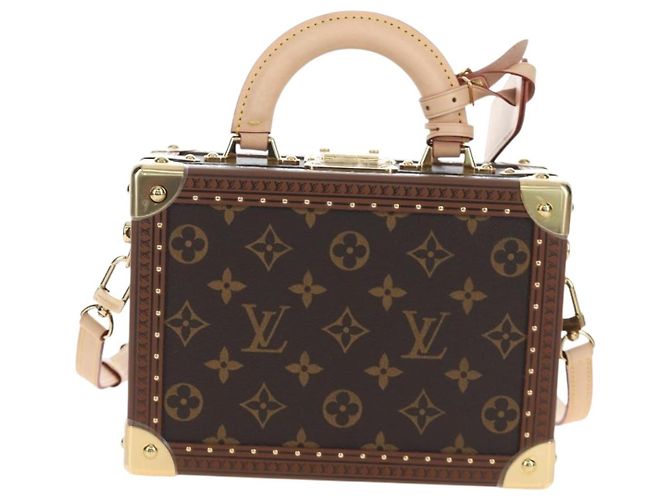 LOUIS VUITTON Monogram Petite Vallees Hand Bag 2way M20468 LV Auth 203861SM Monogramma - vista 13