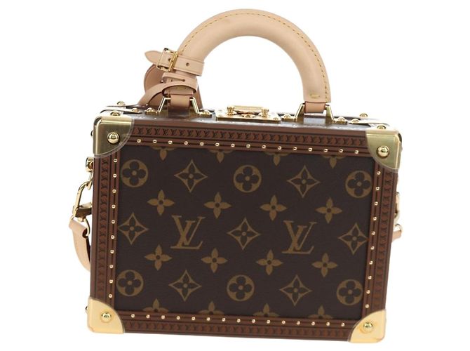 LOUIS VUITTON Monogram Petite Vallees Hand Bag 2way M20468 LV Auth 203861SM Monogramma - vista 2