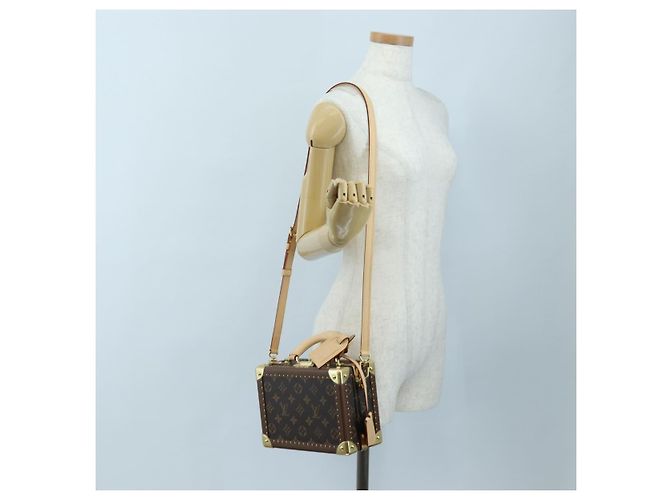 LOUIS VUITTON Monogram Petite Vallees Hand Bag 2way M20468 LV Auth 203861SM Monogramma - vista 32