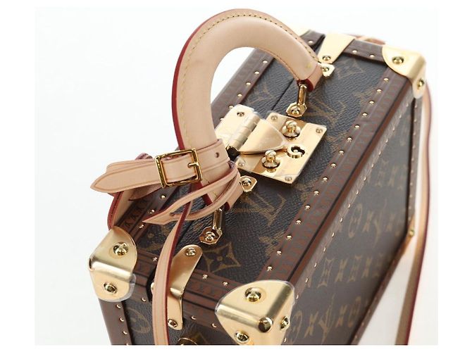 LOUIS VUITTON Monogram Petite Vallees Hand Bag 2way M20468 LV Auth 203861SM Monogramma - vista 6