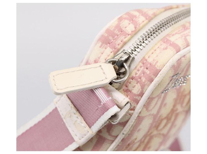 Bolsa de Ombro Christian Dior Trotter PVC Rosa Prata Auth mr2945 - vista 10