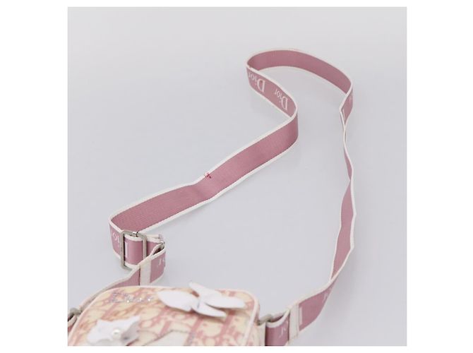 Bolsa de Ombro Christian Dior Trotter PVC Rosa Prata Auth mr2945 - vista 14